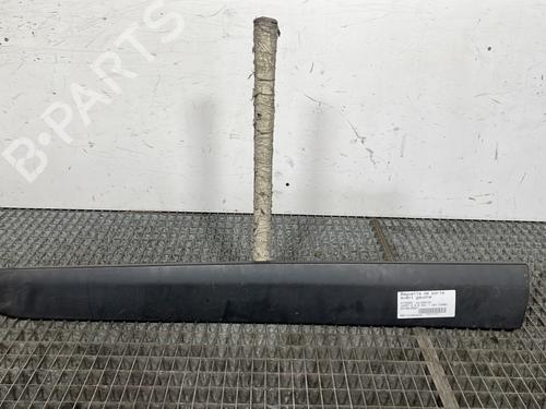 Used Door moulding trim CITROËN JUMPY II Van 2.0 HDi 120 (120 hp) 30358080