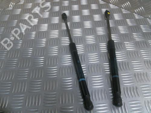 Tailgate lift support PEUGEOT 407 SW (6E_, 6D_) 2.0 HDi 135 | BP20000053C138 