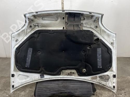 Hood RENAULT KANGOO Express (FC0/1_) D 65 1.9 (FC0E, FC02, FC0J, FC0N) | BP19958869C1 
