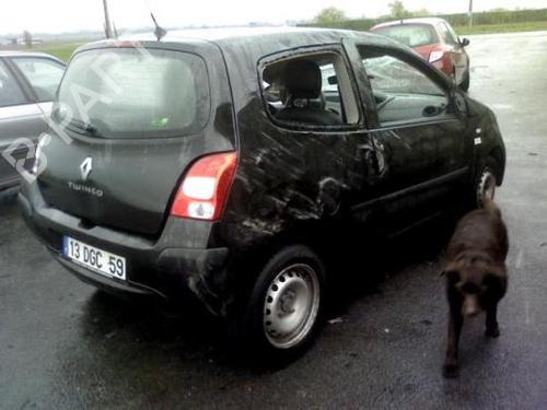 Front right interior door handle RENAULT TWINGO II (CN0_)  | BP20007451I14  - Image 8