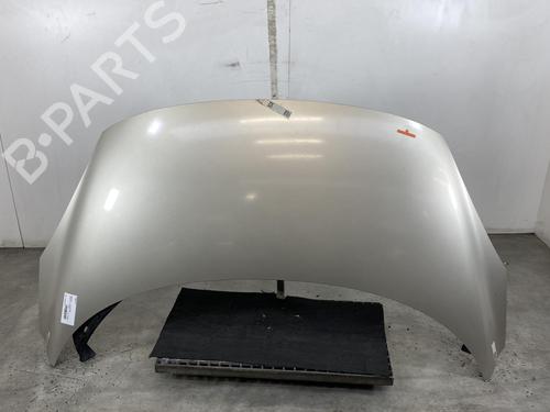 Hood RENAULT SCÉNIC III (JZ0/1_) 1.9 dCi (JZ0J, JZ1J, JZ1K, JZ1S) | BP21959620C1