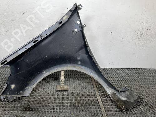Right front fenders RENAULT CLIO III (BR0/1, CR0/1) 1.5 dCi (C/BR0G, C/BR1G) | BP29323887C42 