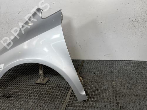 Left front fenders VW GOLF PLUS V (5M1, 521) 2.0 TDI | BP29456198C41