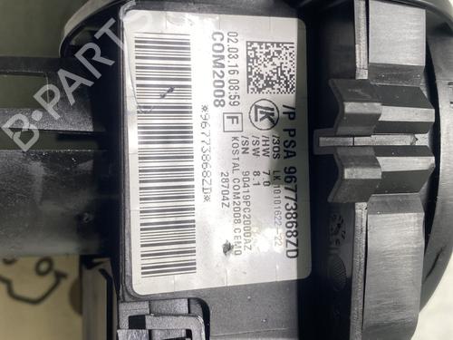 Steering column stalk CITROËN C3 II (SC_) 1.6 HDi | BP32389251I23 