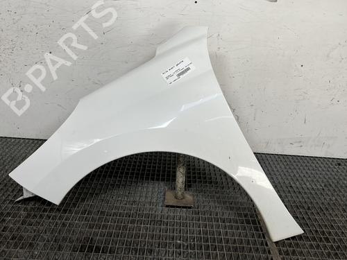 left-front-fenders-peugeot-207-wa_-wc_-2006-2007-2008-2009-2010-2011-2012-2013-2014-2015-31717428 main image