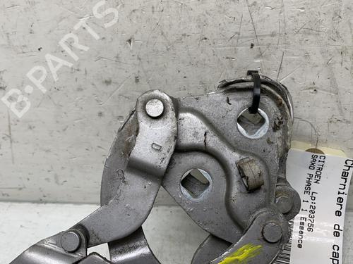 Hinge/Door check strap CITROËN SAXO (S0, S1)  | BP26496164C146 