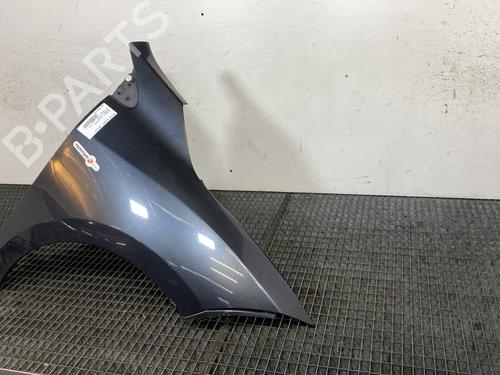 Right front fenders RENAULT MEGANE III Hatchback (BZ0/1_, B3_) 1.5 dCi | BP22520549C42 