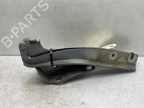 Hinge/Door check strap FIAT PUNTO EVO (199_) 1.2 | BP19993545C146 
