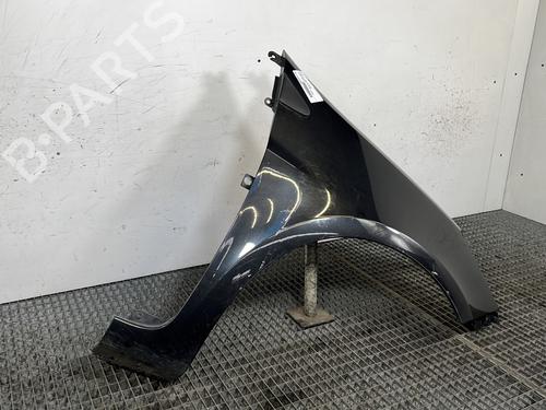 Right front fenders RENAULT CLIO III (BR0/1, CR0/1) 1.5 dCi (C/BR0G, C/BR1G) | BP30168991C42 