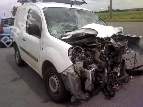 Hinge/Door check strap RENAULT KANGOO Express (FW0/1_)  | BP19986496C146 
