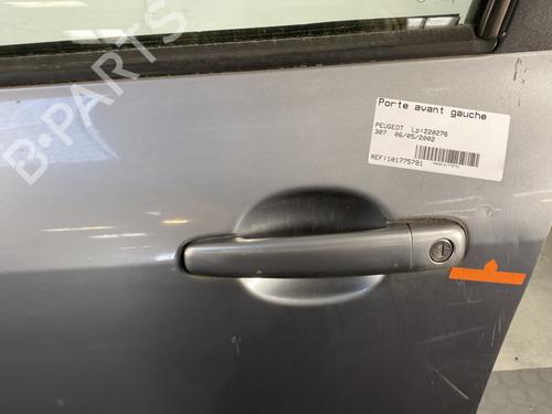 Used Left front door Left front door PEUGEOT 307 (3A/C) 1.4 (75 hp) 25870083 25870083