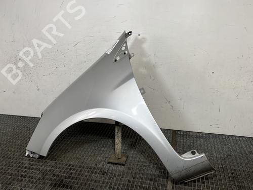 Left front fenders RENAULT CLIO III (BR0/1, CR0/1) 1.5 dCi | BP30176880C41