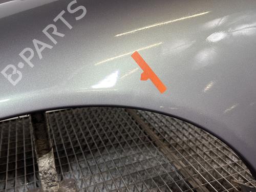 Left front fenders RENAULT LAGUNA I Grandtour (K56_) 1.6 16V (K568) | BP30389293C41