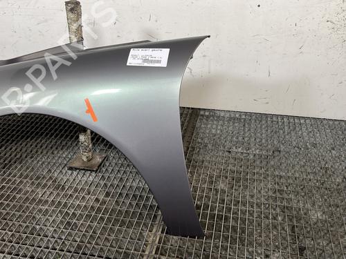 Left front fenders RENAULT LAGUNA I Grandtour (K56_) 1.6 16V (K568) | BP30389293C41