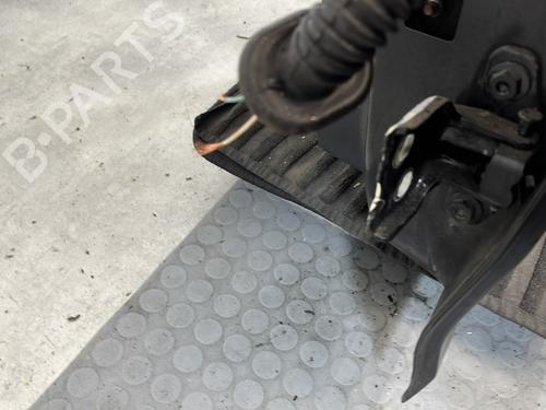 Left rear door DACIA SANDERO II 1.2 | BP30535784C4 