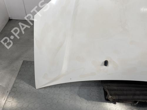Hood FORD FIESTA V (JH_, JD_) 1.4 TDCi | BP21960986C1 