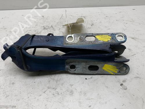 Hinge/Door check strap JAGUAR S-TYPE II (X200) 3.0 V6 | BP20008442C146 