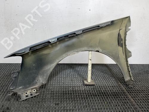 Right front fenders VW PASSAT B6 (3C2) 2.0 TDI 16V | BP21958656C42 