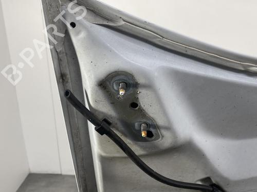 Used Hood FORD S-MAX (WA6) 2.0 TDCi (140 hp) 19995120