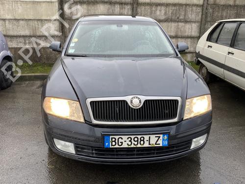 Left front fog light SKODA OCTAVIA II (1Z3) 2.0 TDI | BP25446262C30