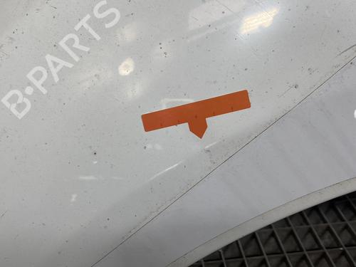 Left front fenders RENAULT MEGANE III Hatchback (BZ0/1_, B3_) 1.5 dCi (BZ0C) | BP21959044C41 