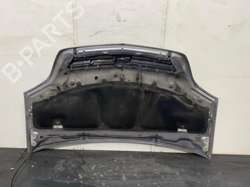 Hood OPEL MERIVA A MPV (X03) 1.7 CDTI (E75) | BP21955370C1 