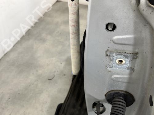 Left front door CITROËN C3 II (SC_) 1.1 i | BP29507621C2 