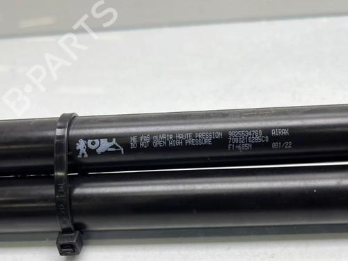 Tailgate lift support PEUGEOT 2008 II (UD_, US_, UY_, UJ_, UR_, UC_) 1.2 PureTech 130 (USHNS, URHNS) | BP19959233C138 