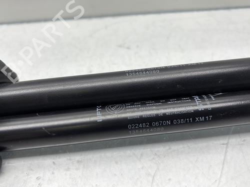 Tailgate lift support FIAT QUBO (225_) 1.4 (225AXA1A) | BP29897404C138