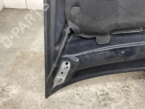Hood FORD FOCUS C-MAX (DM2)  | BP19969542C1 