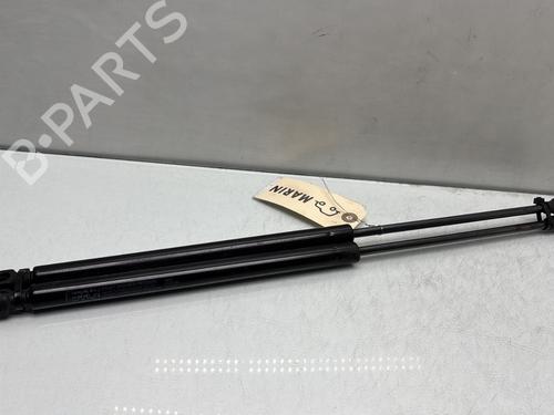 Used Tailgate lift support RENAULT LAGUNA III (BT0/1) 2.0 dCi (BT01, BT08, BT09, BT0E, BT0K, BT12, BT1C, BT1D,... (150 hp) 29286902