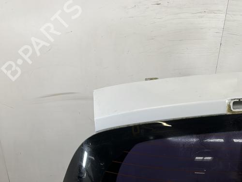 Tailgate RENAULT CLIO III (BR0/1, CR0/1) 1.5 dCi (C/BR0G, C/BR1G) | BP29995775C6 