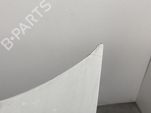 Hood PEUGEOT BIPPER (AA_) 1.3 HDi 75 | BP21957826C1 