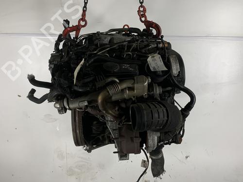 Used Engine SEAT EXEO (3R2) 2.0 TDI (143 hp) 21959807