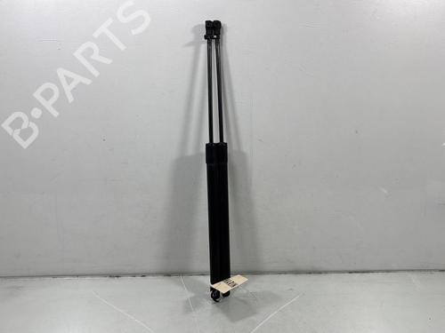 tailgate-lift-support-peugeot-207-sw-wk_-2007-2008-2009-2010-2011-2012-2013-31212229 main image