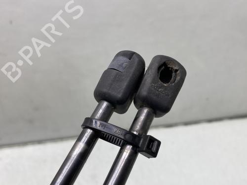 Tailgate lift support FORD FIESTA VI (CB1, CCN) 1.6 TDCi | BP22408263C138 