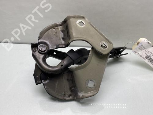 Hinge/Door check strap RENAULT CLIO III (BR0/1, CR0/1) 1.5 dCi | BP26236449C146 