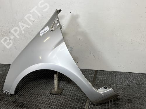Left front fenders RENAULT CLIO III (BR0/1, CR0/1) 1.5 dCi (C/BR0G, C/BR1G) | BP29501667C41 