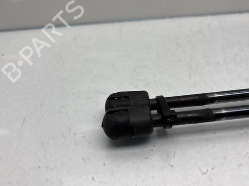 Tailgate lift support FIAT QUBO (225_) 1.4 (225AXA1A) | BP29897404C138