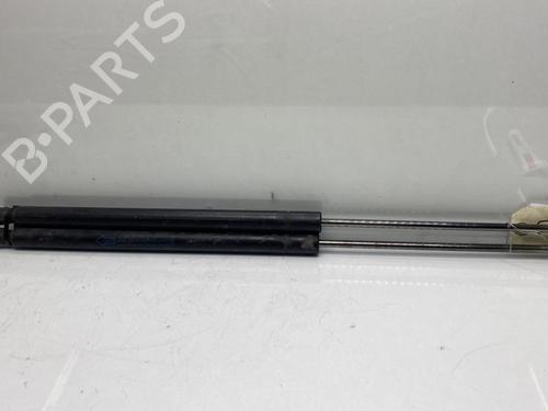 Tailgate lift support FORD S-MAX (WA6) 2.0 TDCi | BP19956057C138 