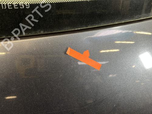 Tailgate RENAULT SCÉNIC II (JM0/1_) 1.5 dCi (JM1E, JM16) | BP29939262C6 