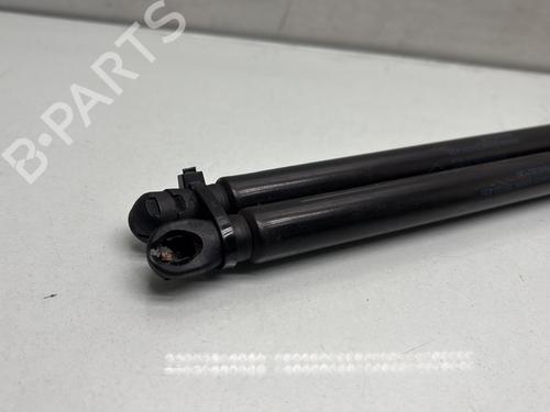 Tailgate lift support RENAULT CLIO V (B7_) 1.6 E-TECH 140 (B7MU) | BP29841524C138