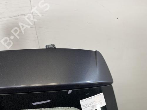 Tailgate RENAULT MEGANE III Hatchback (BZ0/1_, B3_) 1.5 dCi (BZ09, BZ0D, BZ1W, BZ29, BZ14) | BP29609924C6 