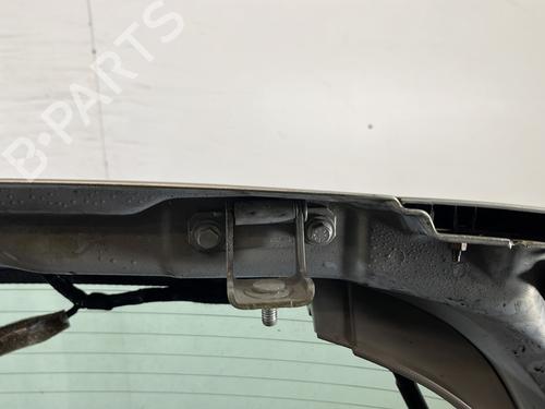 Bakluke CC/Kombi-Kupé RENAULT SCÉNIC II (JM0/1_) 1.9 dCi (JM0G, JM12, JM1G, JM2C) | BP29609908C6 