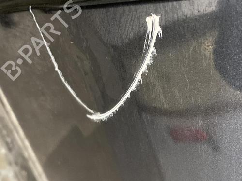 Left rear door FORD FOCUS II (DA_, HCP, DP)  | BP21957401C4 