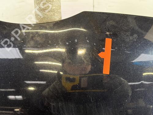 Hood FORD FIESTA VI (CB1, CCN) 1.4 TDCi | BP30878428C1