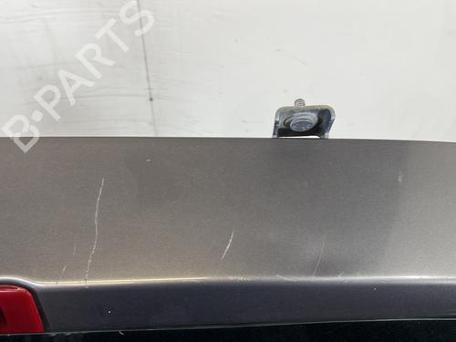 Tailgate RENAULT CLIO III (BR0/1, CR0/1) 1.5 dCi (BR17, CR17) | BP28475732C6