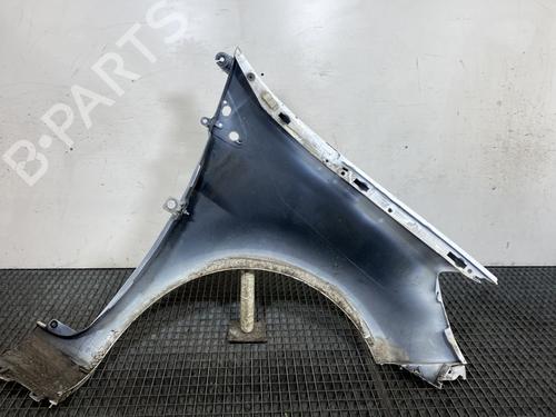 Left front fenders RENAULT CLIO III (BR0/1, CR0/1) 1.5 dCi | BP21820362C41 
