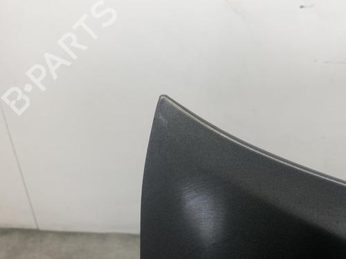 Hood TOYOTA COROLLA Verso (ZER_, ZZE12_, R1_) 2.2 D-4D (AUR10_, AUR10R) | BP19974163C1 