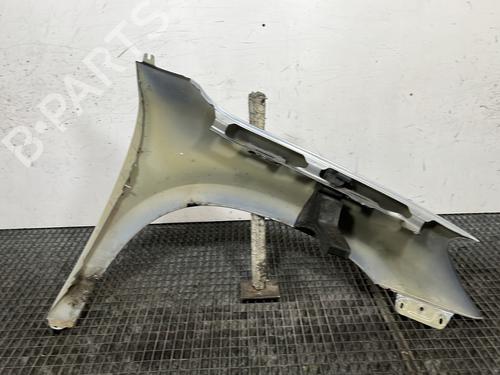 Left front fenders SKODA YETI (5L) 1.2 TSI | BP29939076C41 